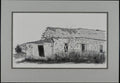 Original pen and ink drawing of a crumbling stone barn in Coal Creek, Colorado, with overgrown grasses and a weathered roof