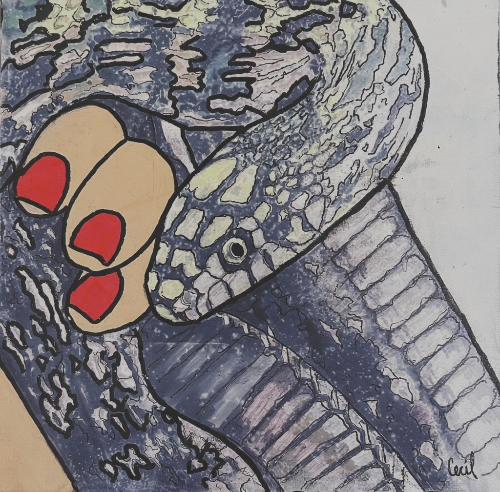 Elaphe Carinata #1.5 - Original Watercolor