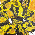 Euprepiophis Mandarinus - Original Acrylic