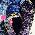 Elaphe Carinata #4 - Original Watercolor